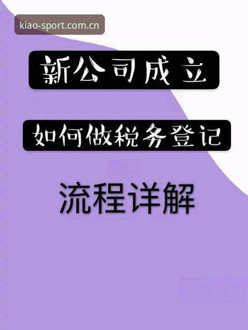小鸟棋牌平台2024最新更新操作教程：从安装到上手全流程详解